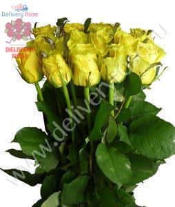 Тара (Tara) 80 см