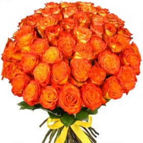 Букет из 51 розы "Хайт Интенз"