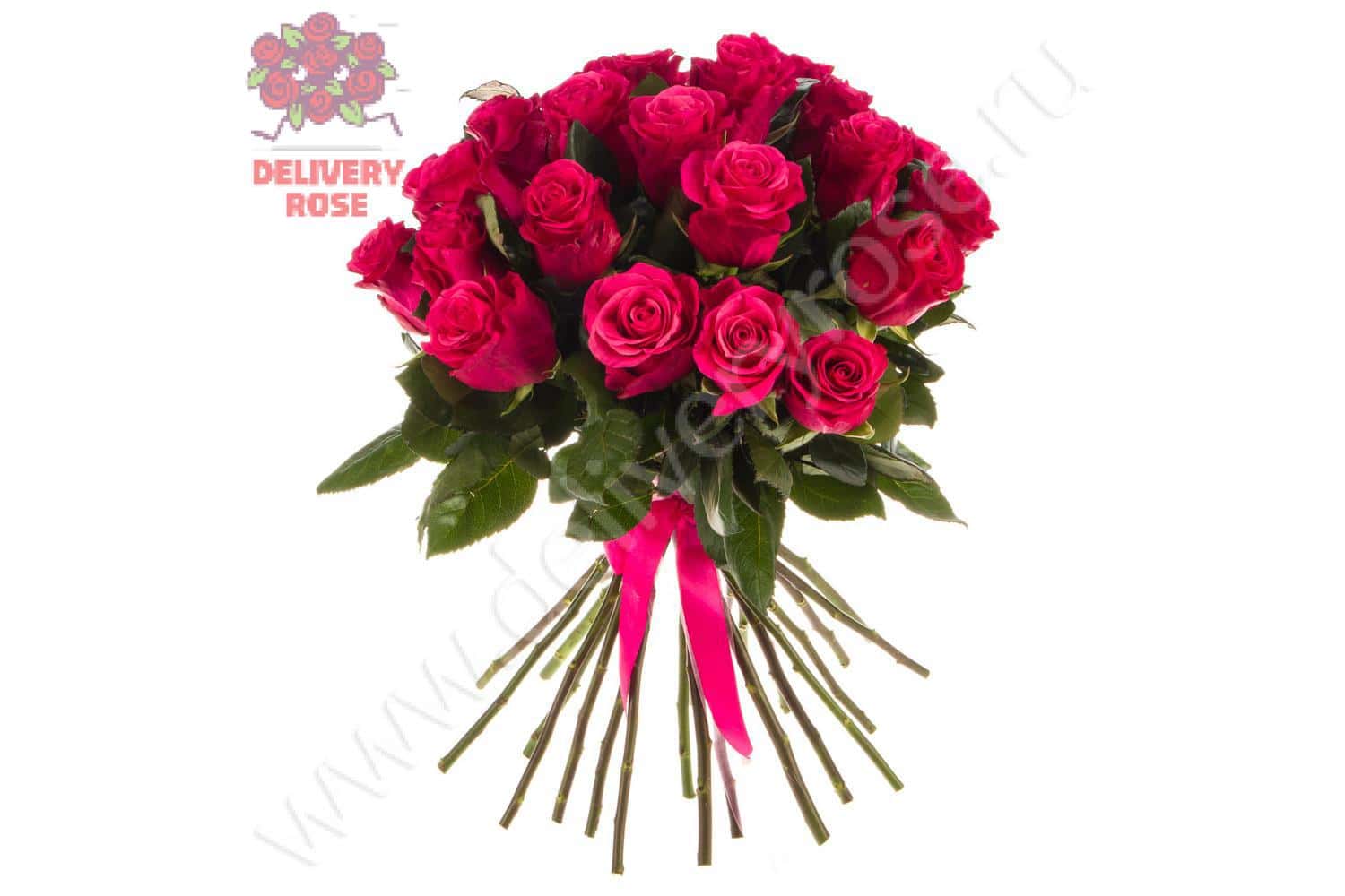Хот шот - 25 роз премиум