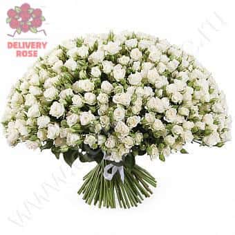 Букет Сокровища Авалона (101 роза)