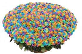 1001 радужная роза