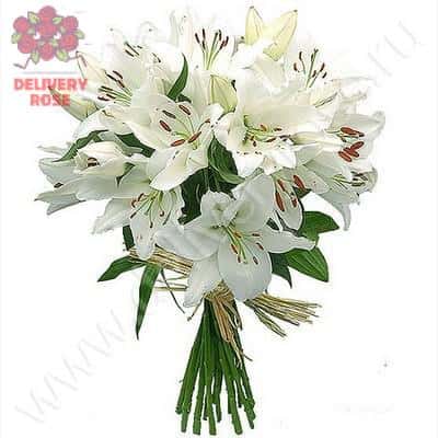 Букет из 19 белых лилий
