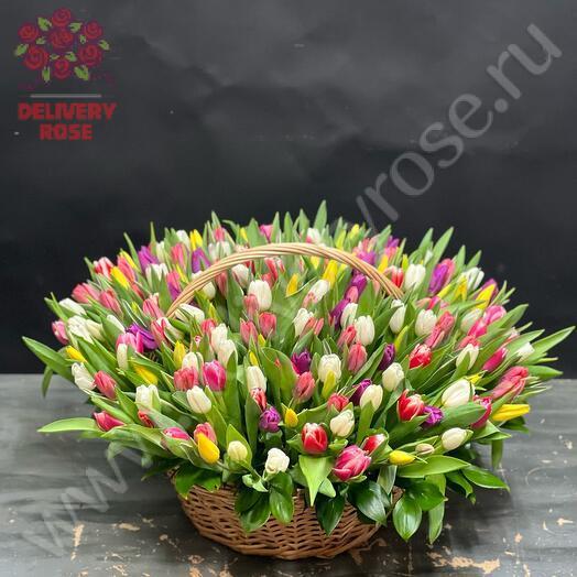 201 тюльпан микс в корзине