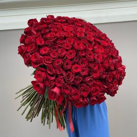 201 красная роза, высота 1 метр