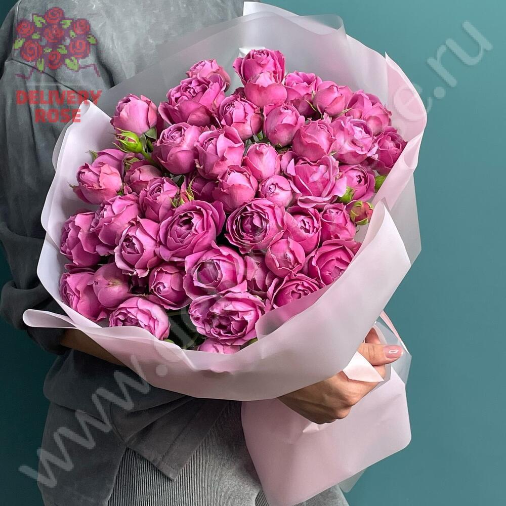 Пионовидная кустовая роза Misty Bubbles