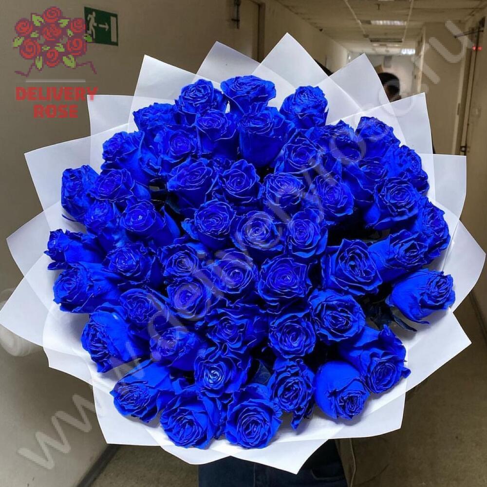 51 синяя роза