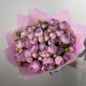 Пионовидная кустовая роза Lavender Bubbles
