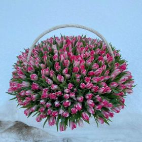 201 тюльпан в корзине