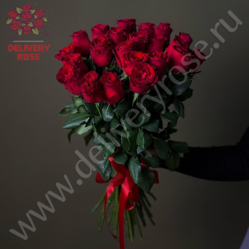 25 Красная роза, высота 1 метр