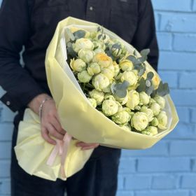 Пионовидная кустовая роза Peony Bubbles