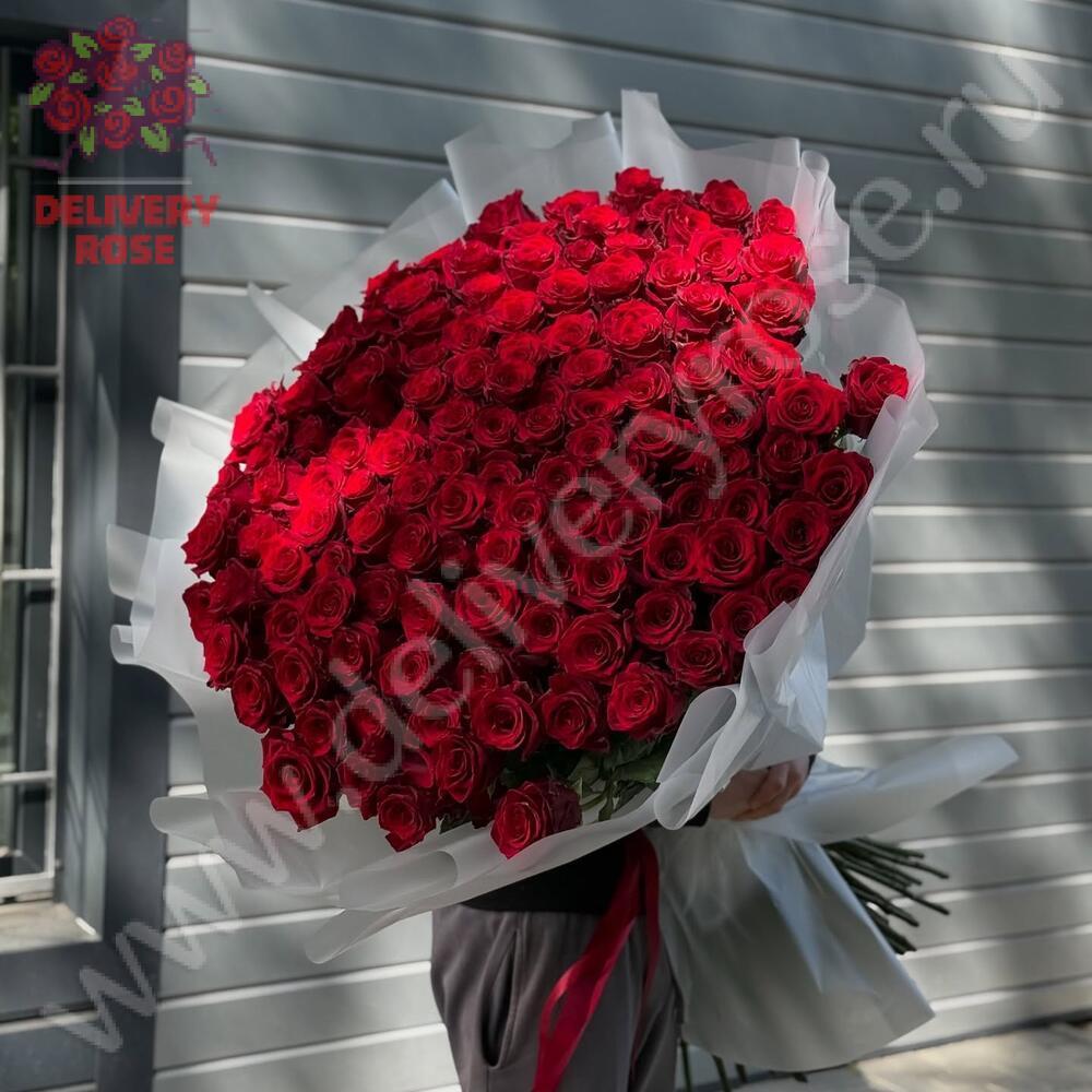 51 гигантских красных роз 190 см