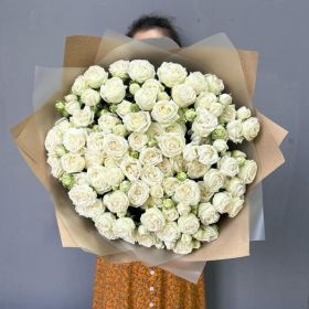 Пионовидная кустовая роза Miss Bombastic