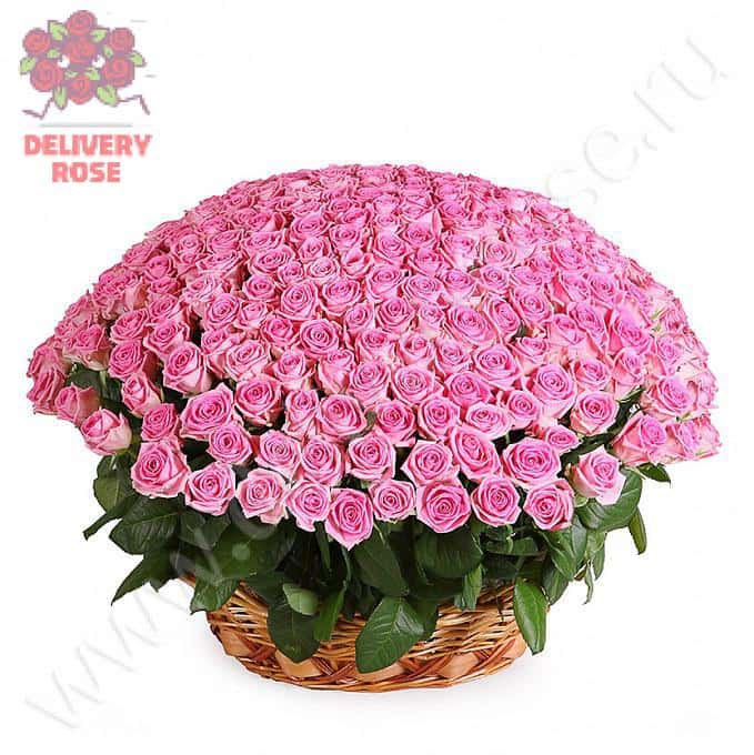 Розовый фламинго (251 роза в корзине)