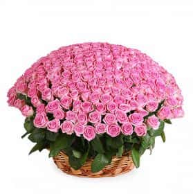 Розовый фламинго (251 роза в корзине)