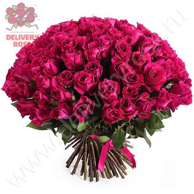 Букет Королева ночи (101 роза)