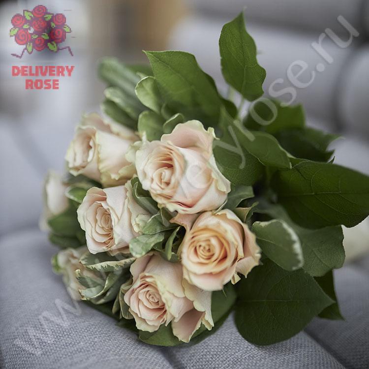 7 кремовых роз