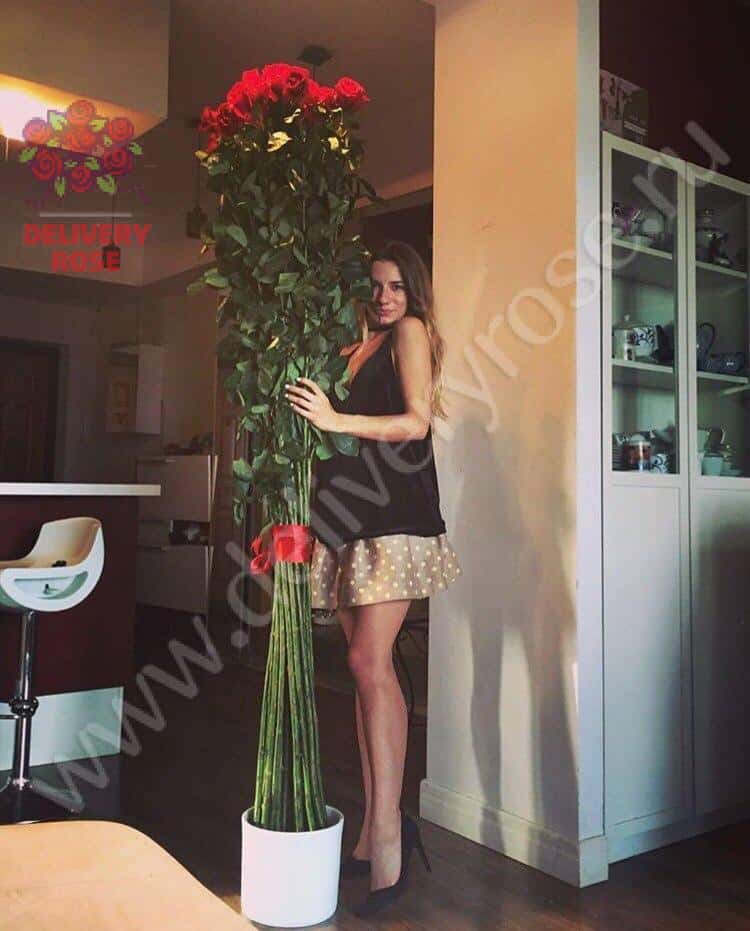 Гигантские розы 200 см 25 штук