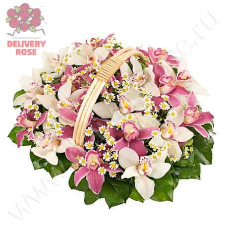 Корзина «Орхидеи и ромашки»