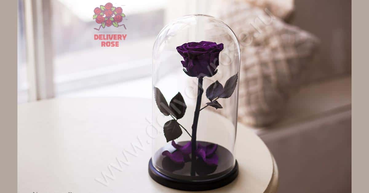 Фиолетовая роза в колбе 30 см