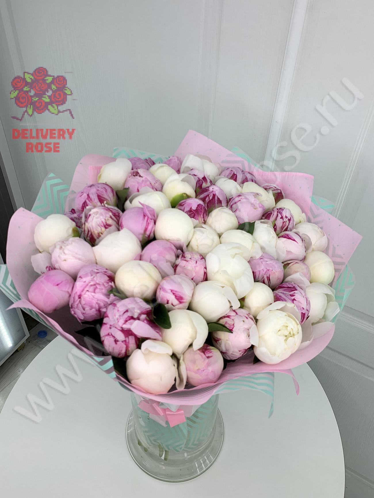 51 пион микс