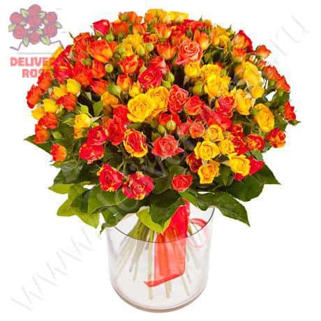 Букет из кустовых роз «Дайкири» (29 веток)