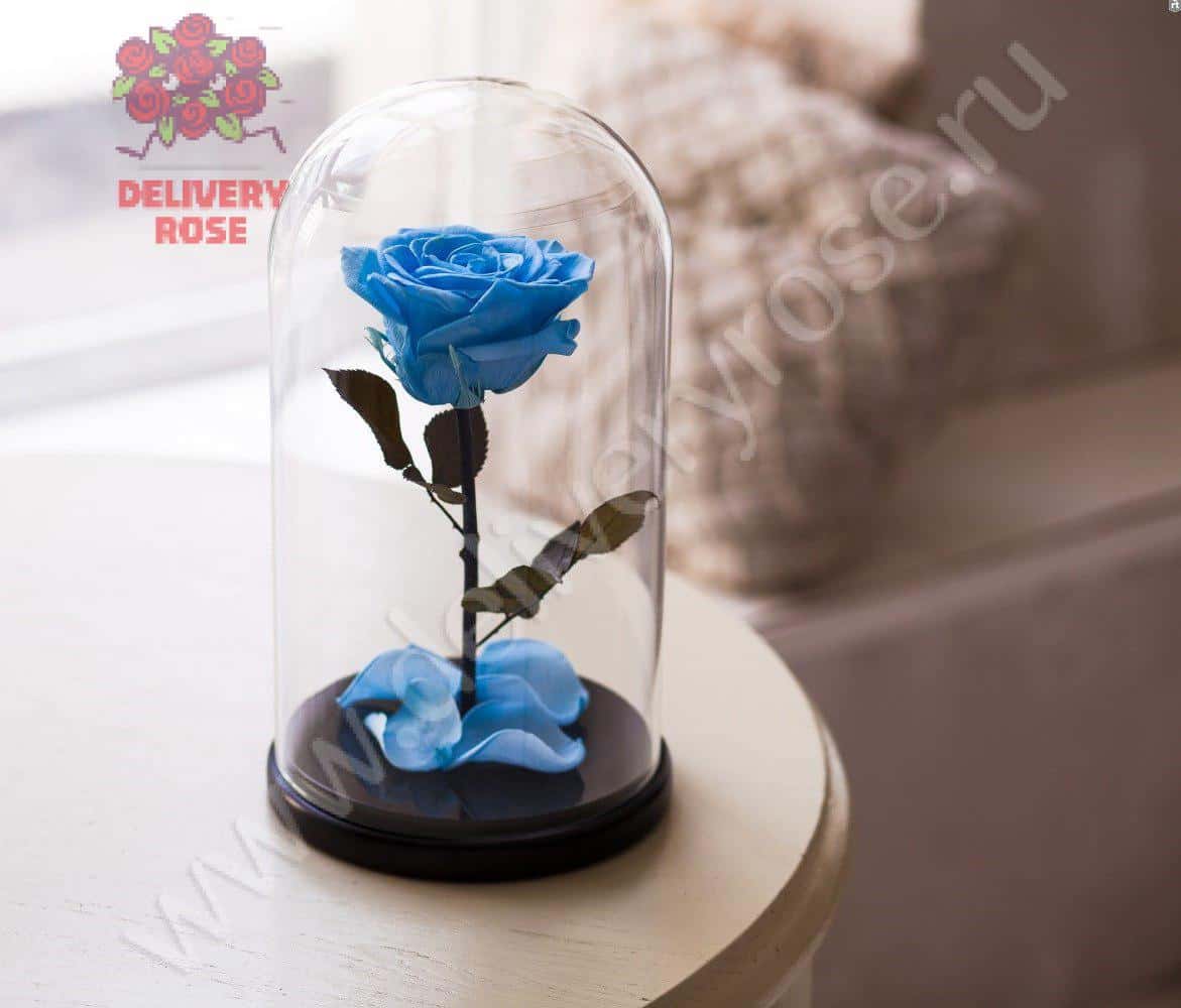 Голубая роза в колбе 30 см