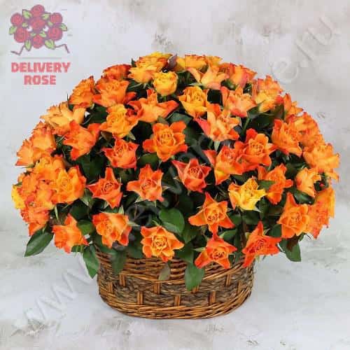 101 ОРАНЖЕВАЯ РОЗА 40 СМ. В КОРЗИНЕ ЛЮКС