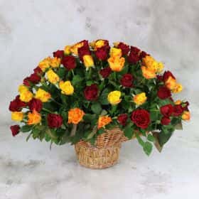 101 ЖЕЛТАЯ И КРАСНАЯ РОЗА 40 СМ. В КОРЗИНЕ ЛЮКС