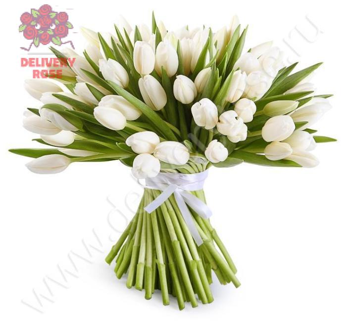 101 белый тюльпан