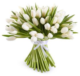 101 белый тюльпан