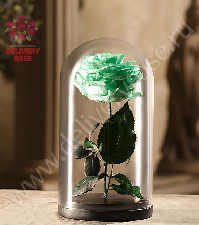 Зеленая роза в колбе 30 см 2