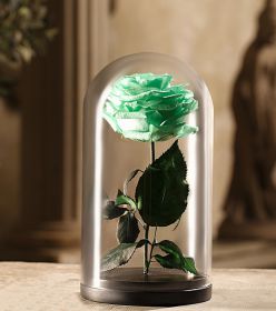 Зеленая роза в колбе 30 см 2