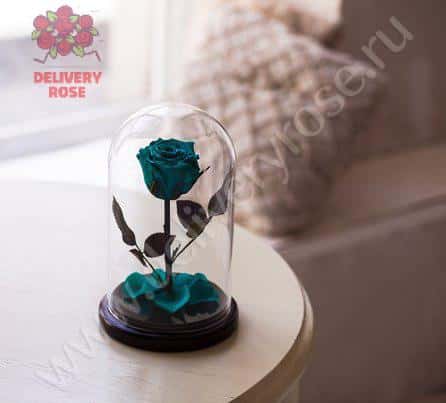 Бирюзовая роза в колбе 30 см