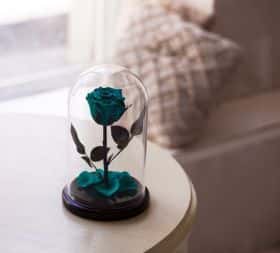 Бирюзовая роза в колбе 30 см