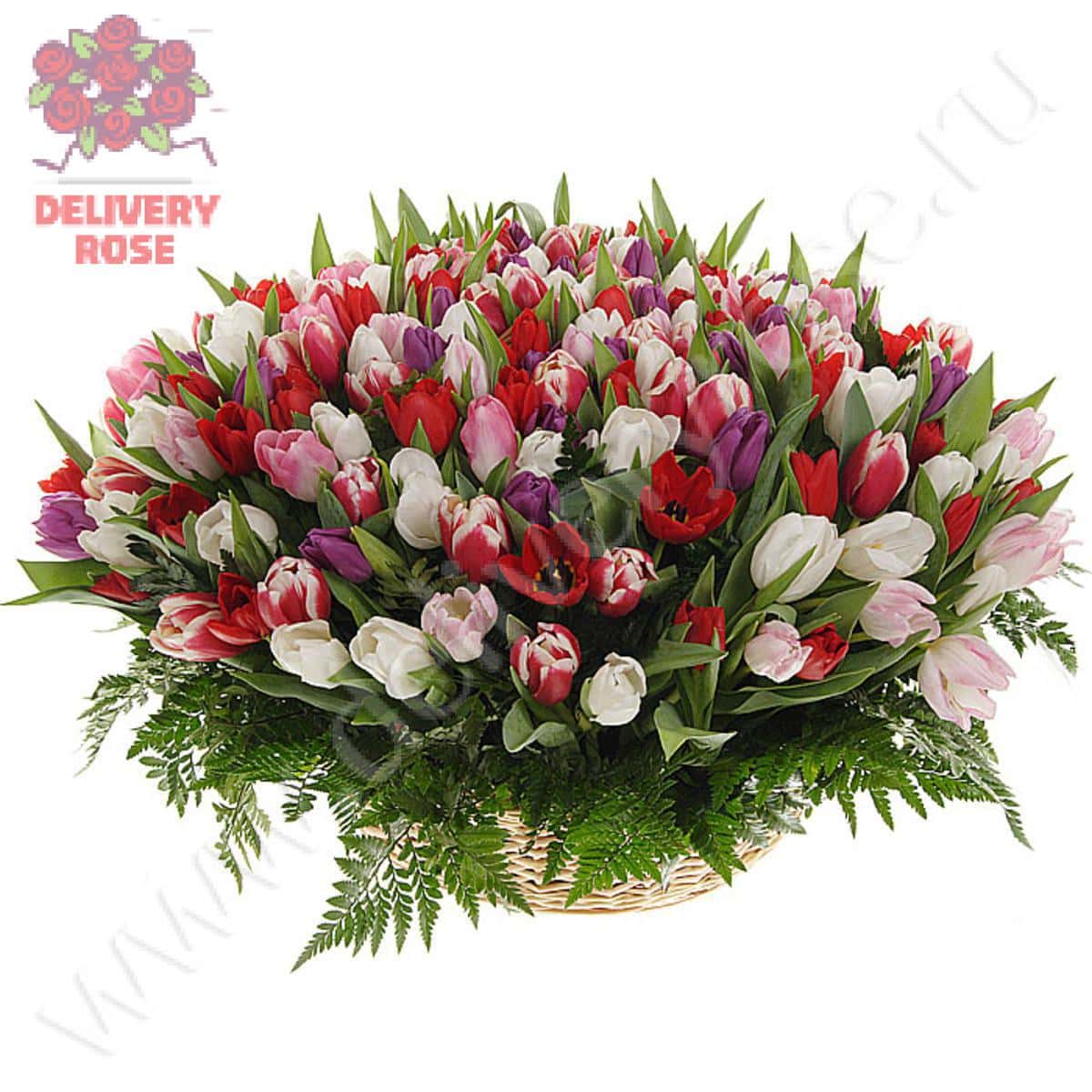 Композиция из 201 тюльпанa "Весна моей души..."