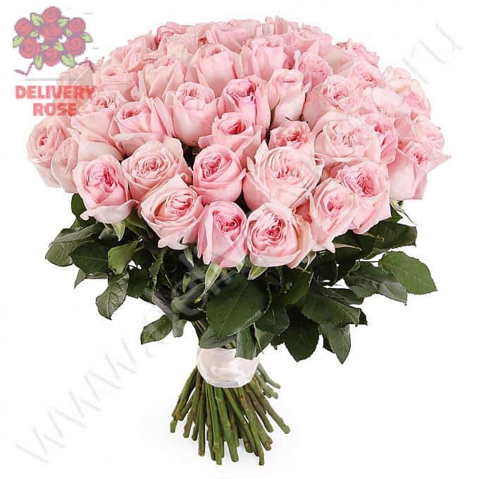 Букет Розовое настроение (51 роза)