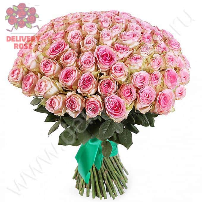 Букет Нежный ангел (101 роза)