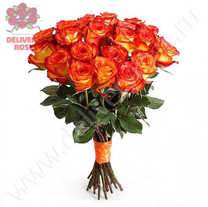 Букет Магия застывшего огня (21 роза)