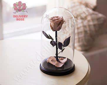 Роза цвета кофе с молоком в колбе 30 см