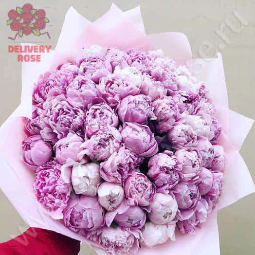 Букет любви из 51 пиона 