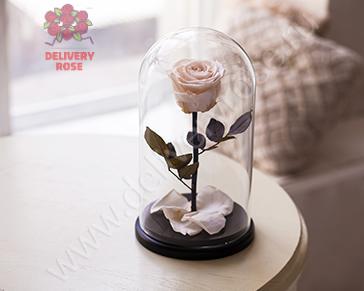 Белая роза в колбе 30 см