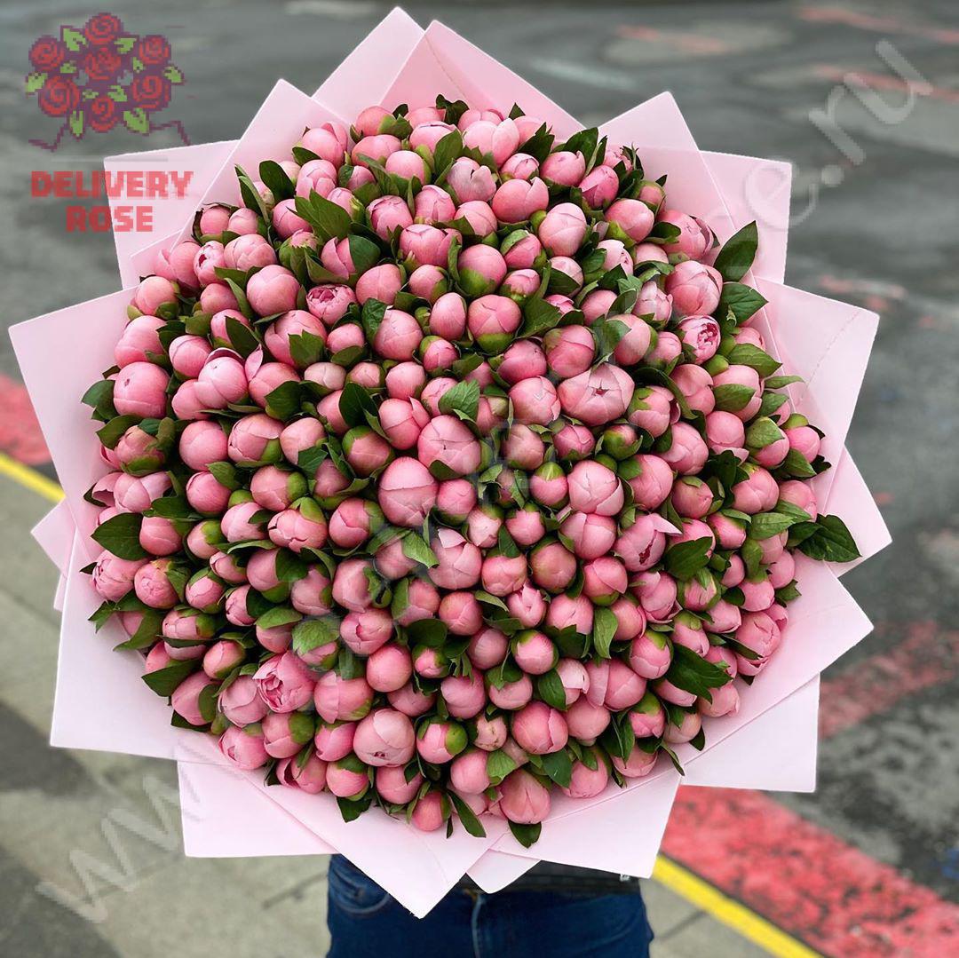 Розовые пионы - 201 шт.