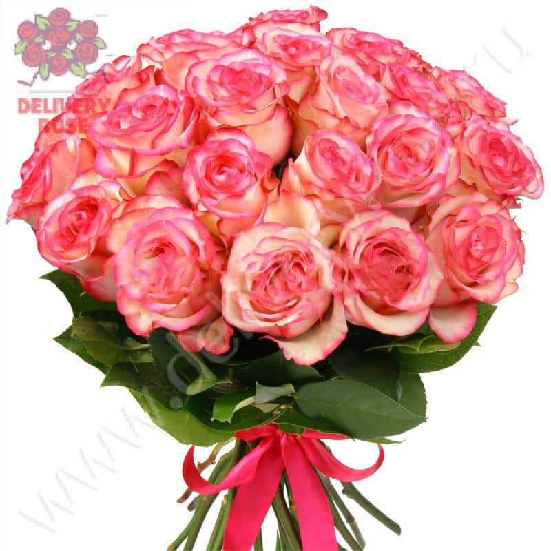 Букет из 25 роз "Карусель"