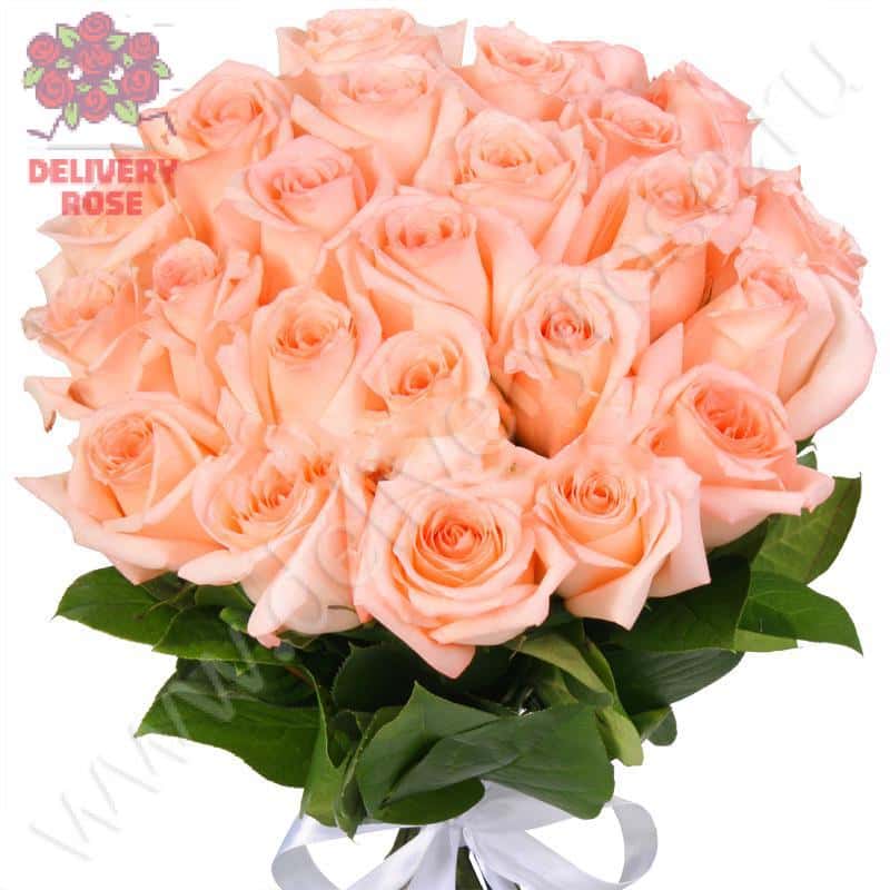 Букет из 25 кремовых роз "Ангажемент"