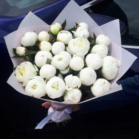 Белые пионы - 35 шт.