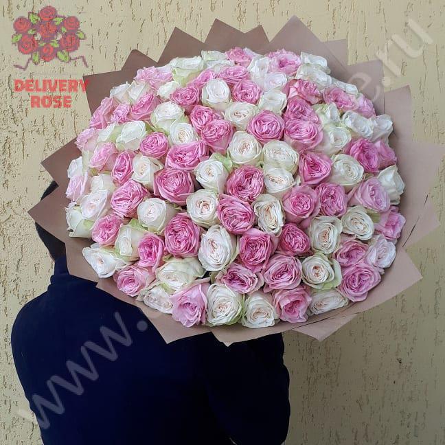 Букет из 101 розы сорта "Вайт охара и Пинк охара"